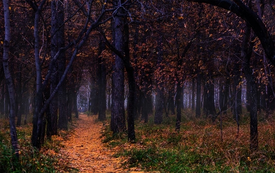 There on unknown paths ...