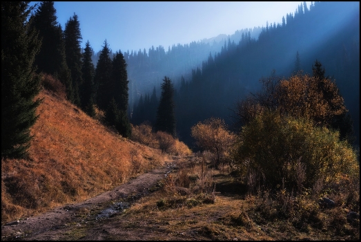 Осеннее утро