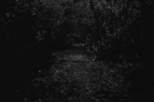 Twilight.