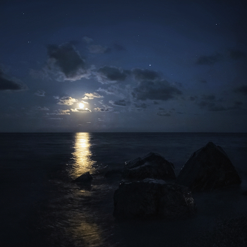 Moonlight