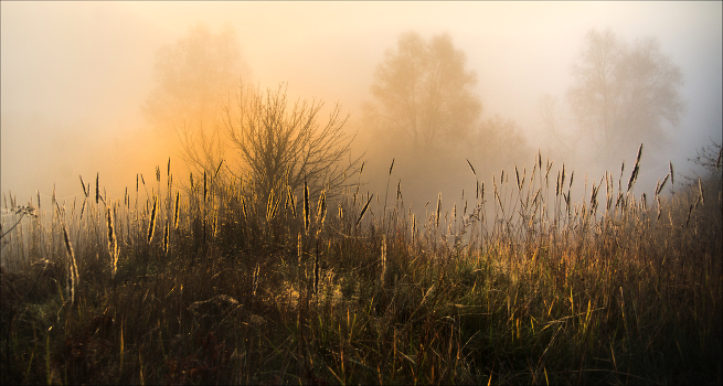 Autumn ...