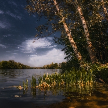 Fragment of summer
