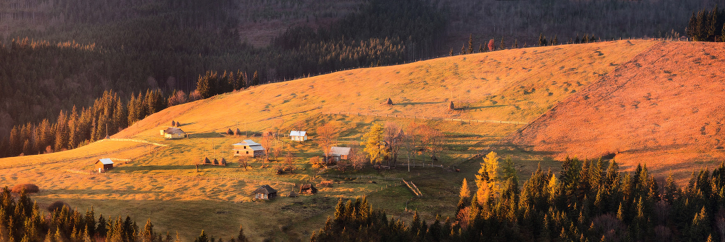 November morning on a remote farm
