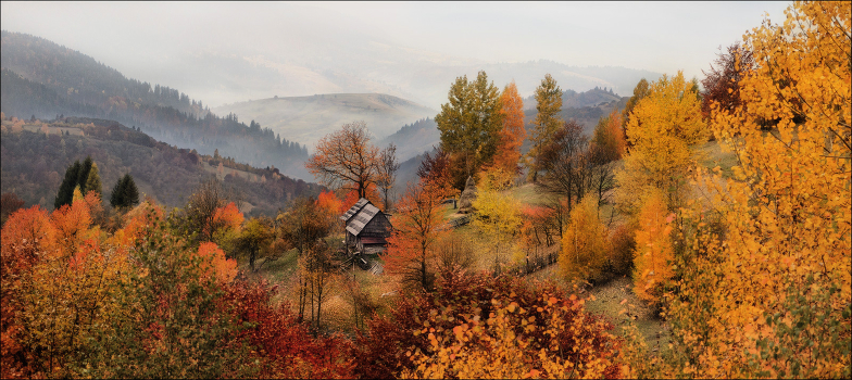 / What is the autumn .... /