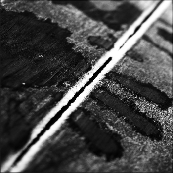 Frost and cut