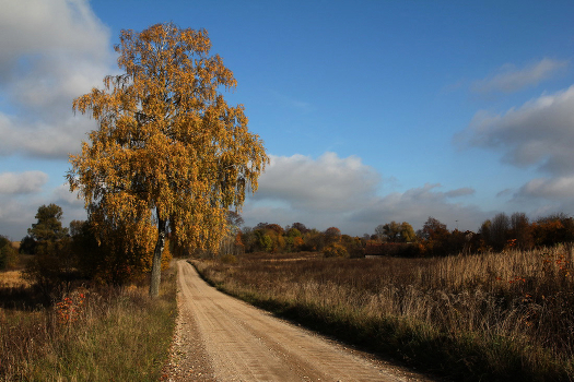 on the road to Opochinskoe