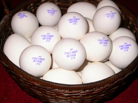 From happy cocks!