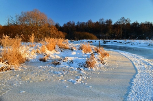 The Winter's Tale