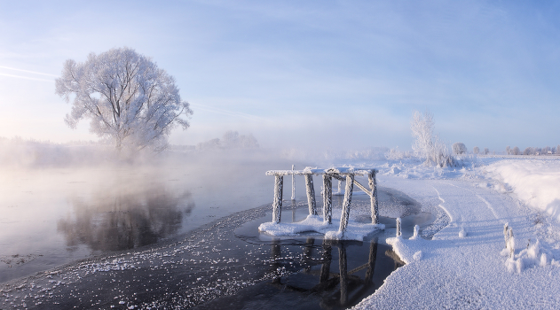 Fragment of a winter morning
