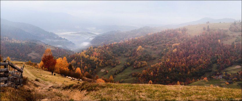 / With a view of the fall /