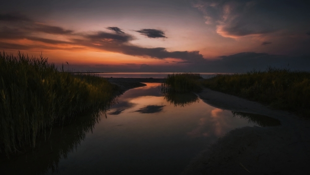 Walk to the evening gulf