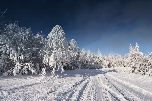 Winter road