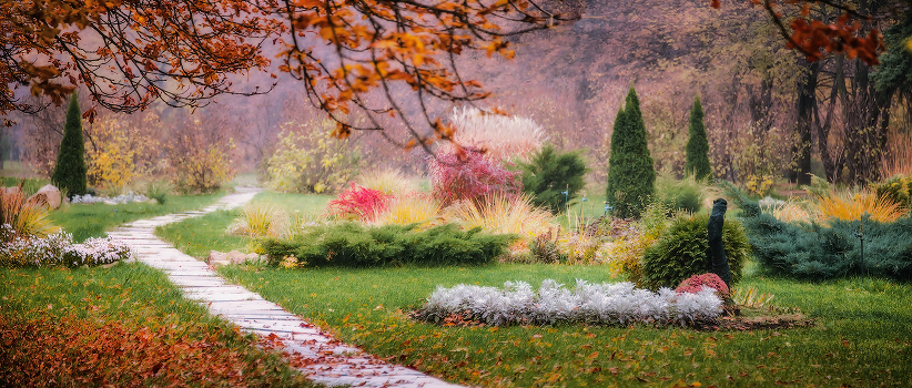 Walk in the autumn