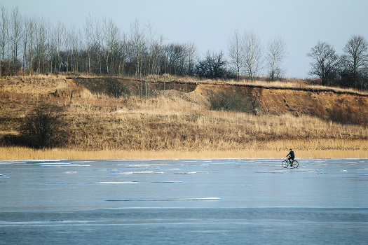 in early spring