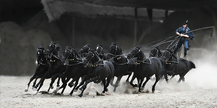 Hey, you horses, horses animals ...