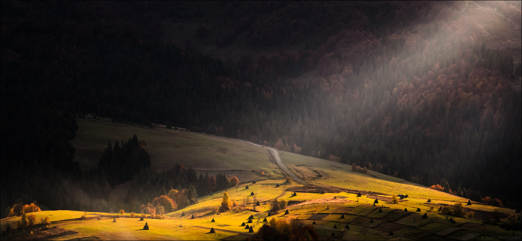 / Catching the last rays .... /