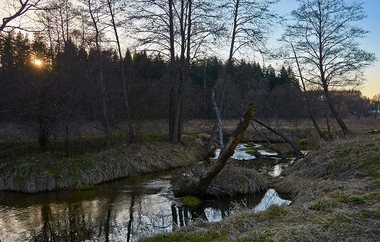 Evening on Isloch.