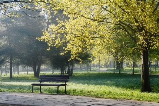 Spring waiting for their lovers!