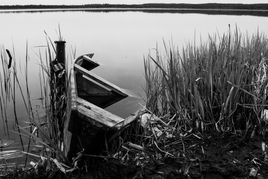Landscape at the lake