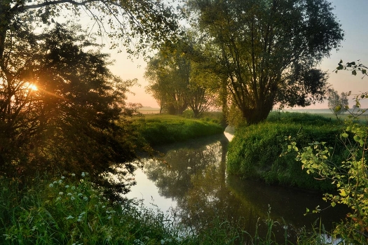 A summer morning.