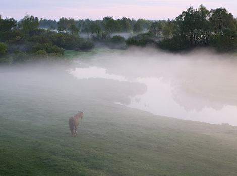 April morning ...