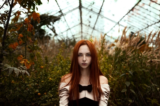 Gifts of Autumn