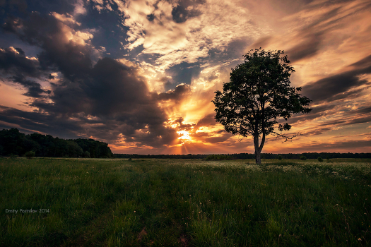 Every day seeing sunsets ...