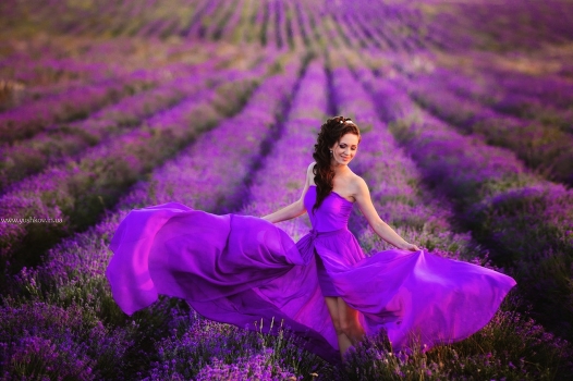 Lavstori in the Crimea on a lavender field