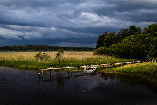 Quiet Harbor