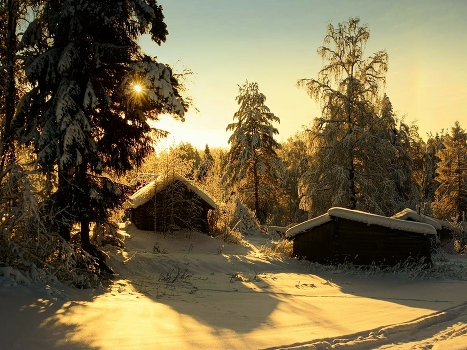Taiga wilderness ...