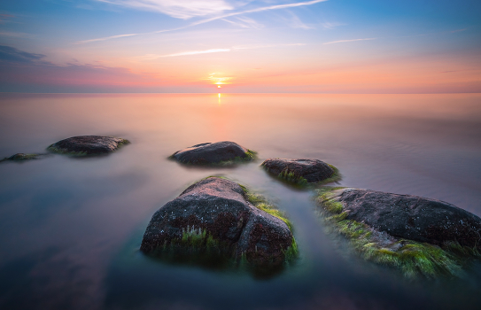The Dawns Here Are Quiet ....
