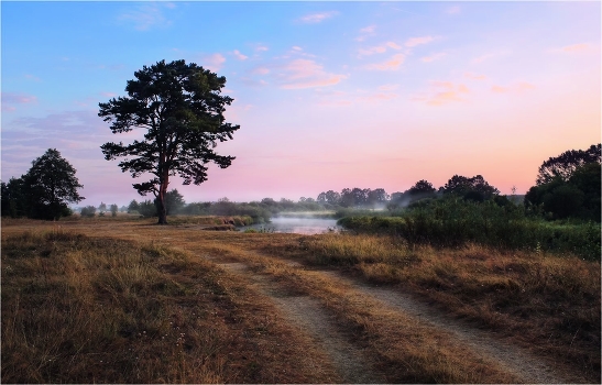 Meeting the Dawn