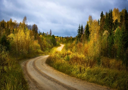 Autumn road ...