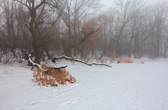 In winter, too, have their own paint