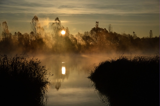 Misty Dawn