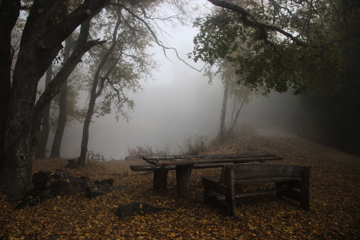 Silence