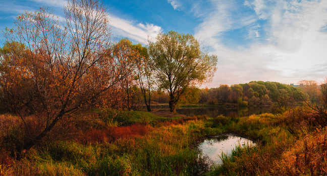 Autumn colors