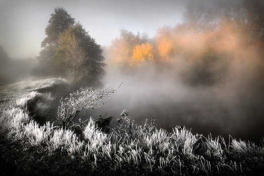 Dawn confrontation ...