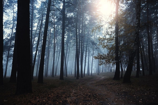 At dawn