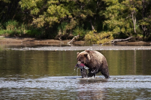 Fishing