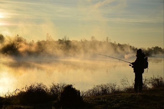 Morning fishing