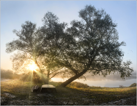 Morning on the river Drut.