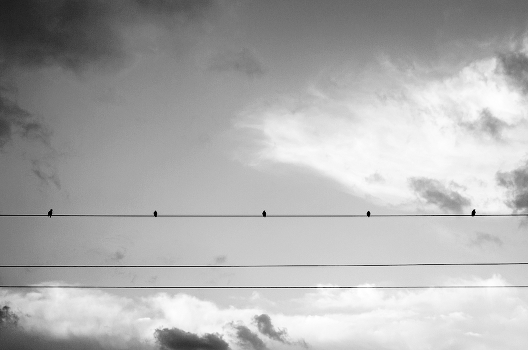 . . . . . (Music of birds)