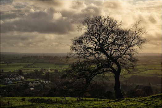 ...above the fields...