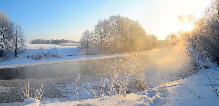 Winter Morning