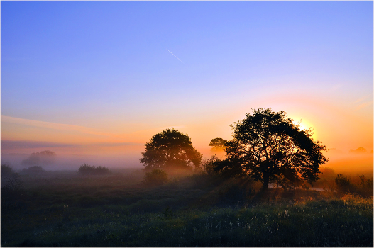 Sleepy Valley