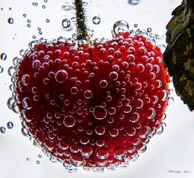 Valentine.