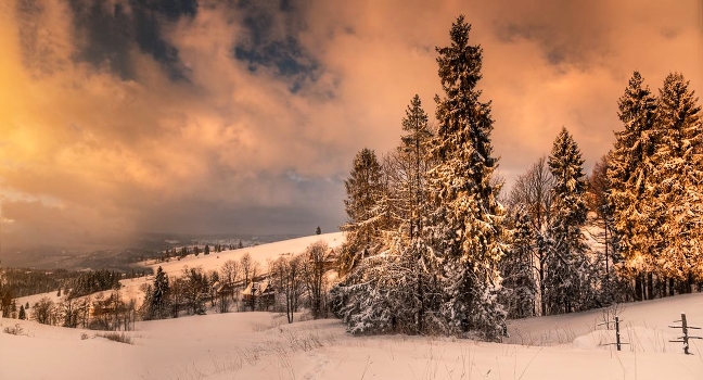 Winter mood ..