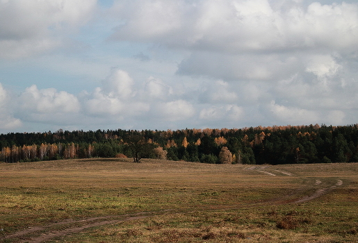 Autumn