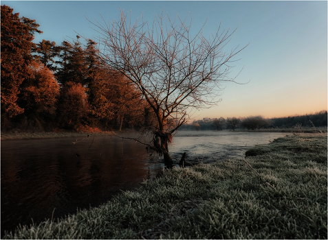 ... And lonely dawn tone ...